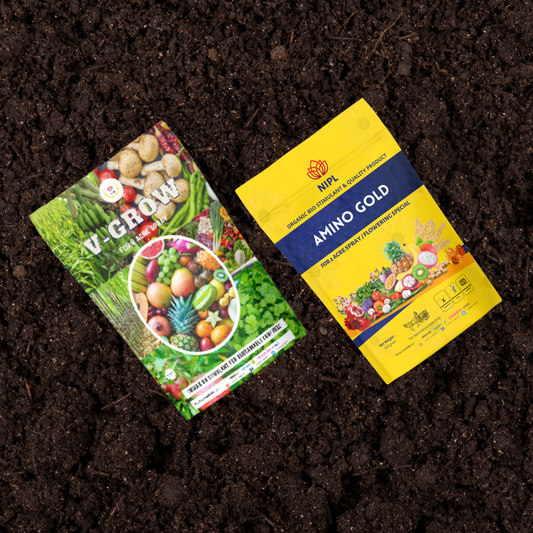 Combo Pack Amino Gold And V-Groww (100gm each)