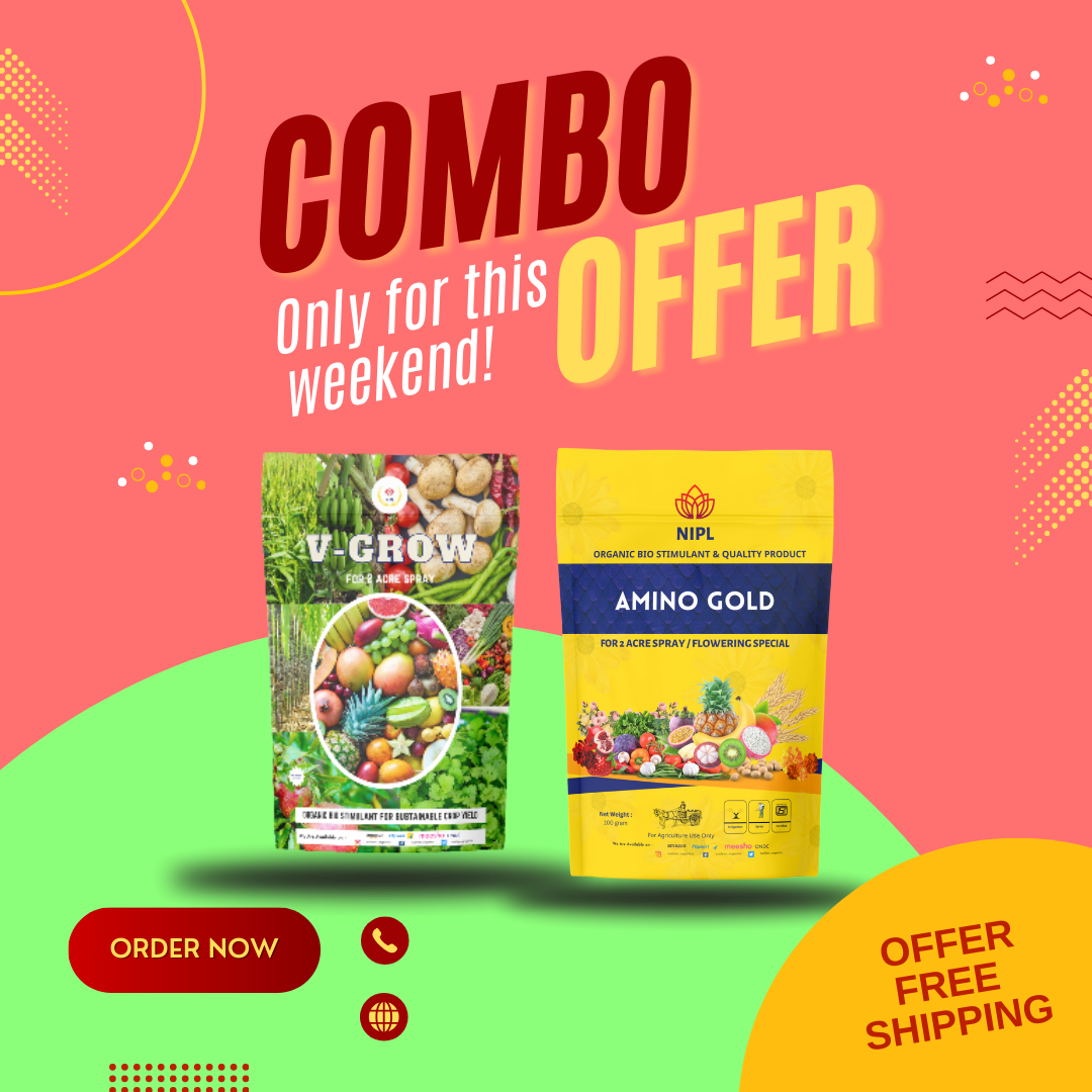 Combo Pack Amino Gold And V-Groww (100gm each)