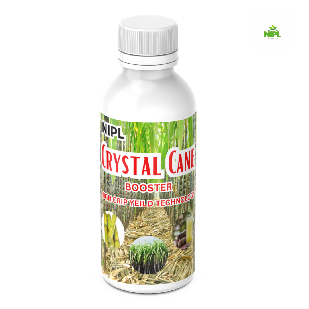 Crystal Cane Booster