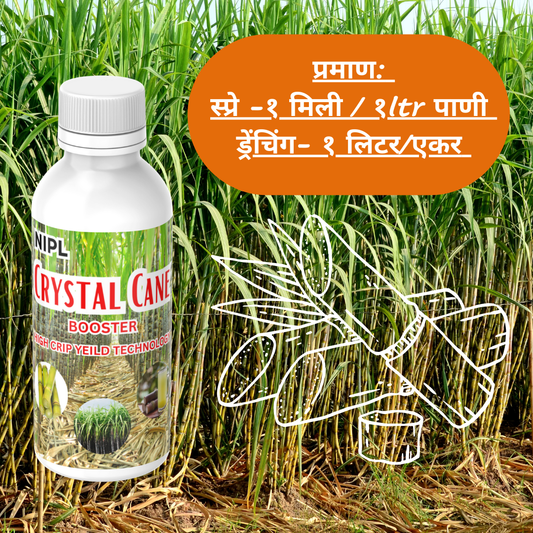 Crystal Cane Booster