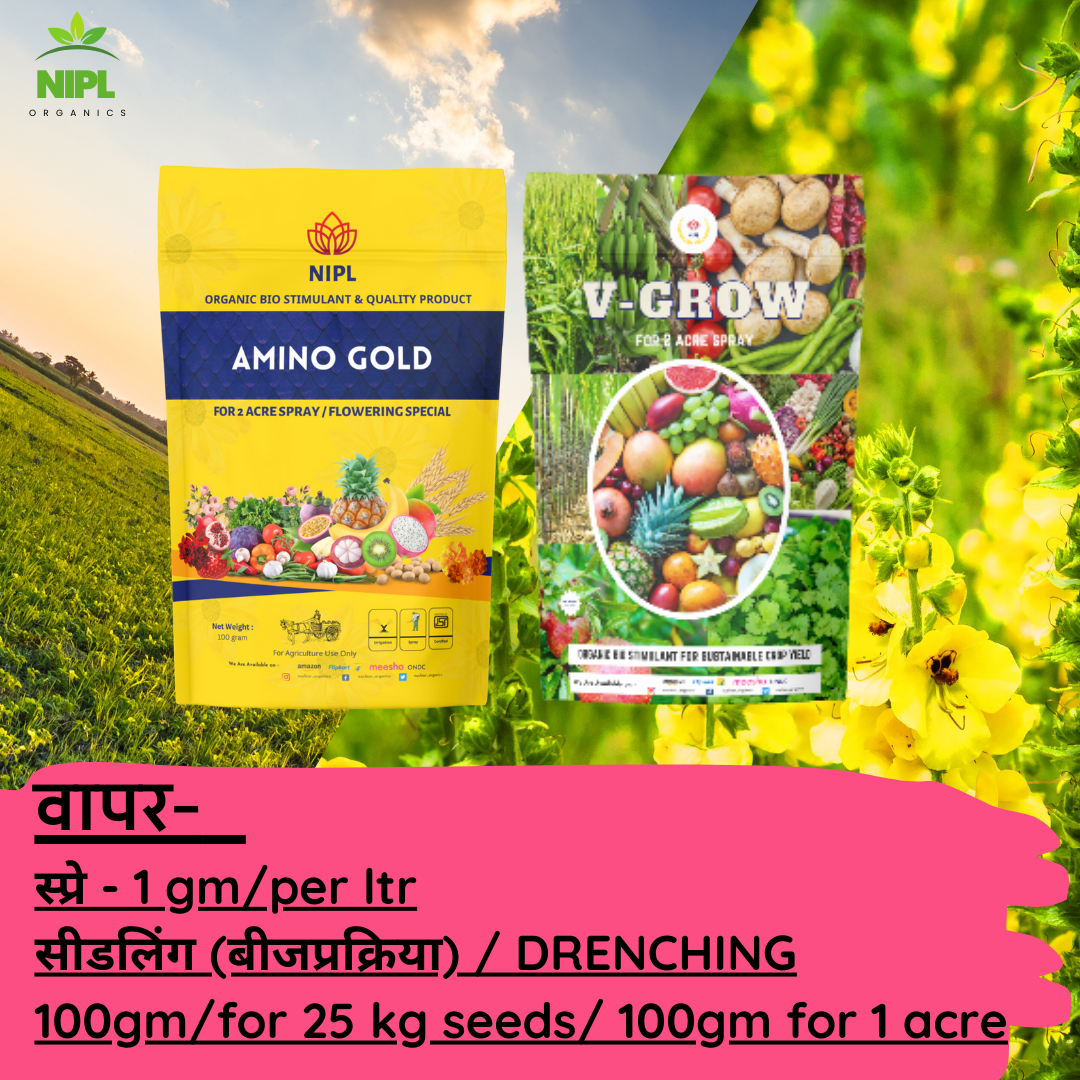 Combo Pack Amino Gold And V-Groww (100gm each)