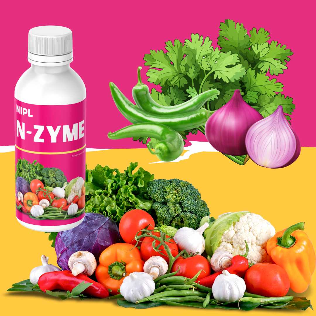 N-Zyme (1ml/ltr water)
