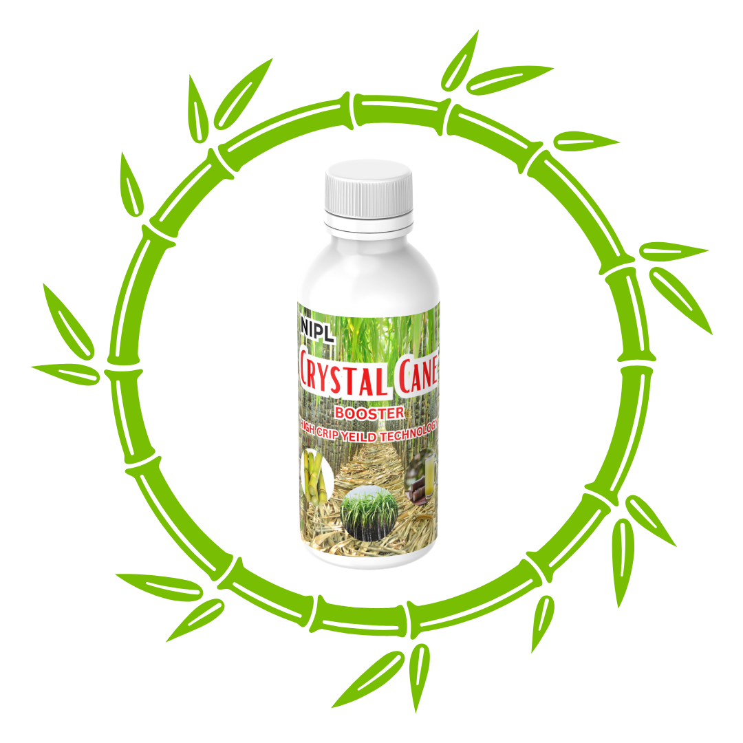 Crystal Cane Booster