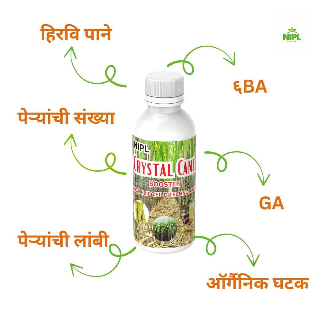 Crystal Cane Booster