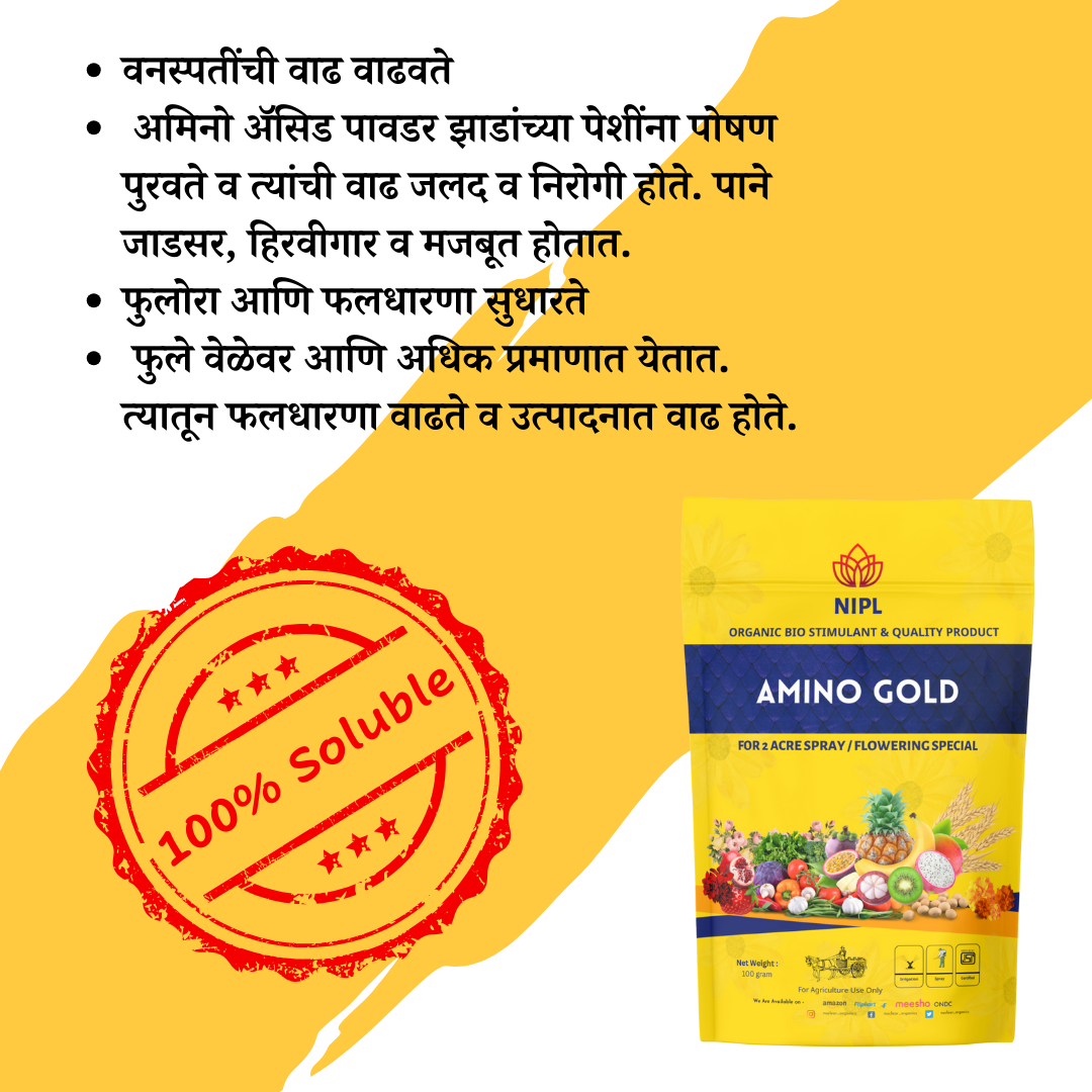 Combo Pack Amino Gold And V-Groww (100gm each)